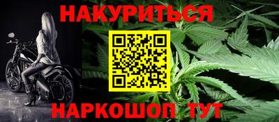 прущие грибы Тверь