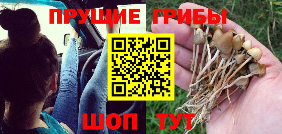 Миасс  Псилоцибиновые грибы GOLDEN TEACHER  Вход с VPN  магазин продажи   Галлюциногенные грибы Cubensis 