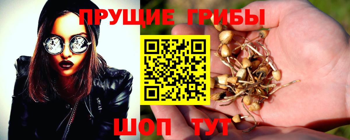 Галлюциногенные грибы Magic Shrooms Миасс